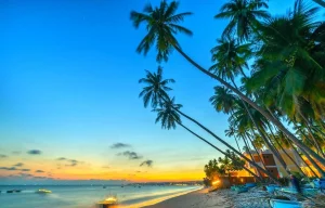 du lich phan thiet 1 1439