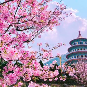 Tour Đài Loan giá rẻ 2026