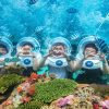 Tour Nha Trang 3 Ngày 3 Đêm - 5 sao giá rẻ 2026