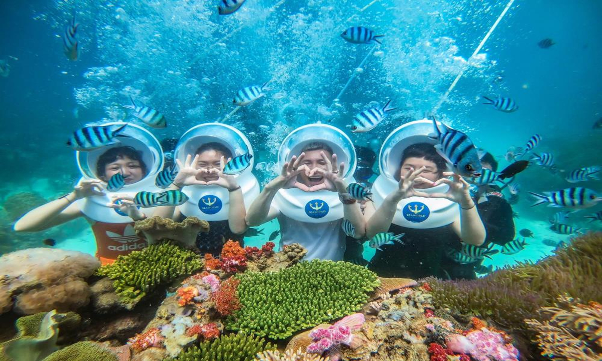 Tour Nha Trang 3 Ngày 3 Đêm - 5 sao giá rẻ 2026 1 Tour Nha Trang 3 Ngày 3 Đêm - 5 sao giá rẻ 2026