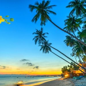 Tour Phan Thiết Tết 2 ngày 1 đêm giá rẻ 2026