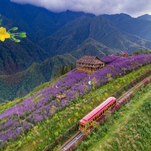 Tour Sapa Tết 3 ngày 2 đêm giá rẻ 2027
