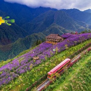 Tour Hà Nội Sapa Tết nguyên đán giá rẻ 2027