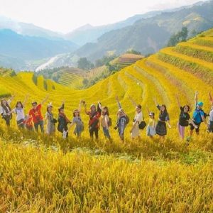 Tour Mù Cang Chải 3 ngày 2 đêm 2026