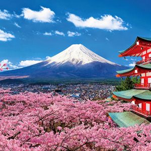 Tour Nhật Bản mùa hoa anh đào 2026