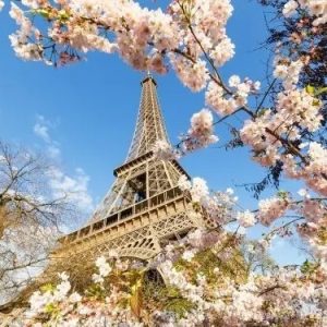 Land tour Châu Âu giá rẻ
