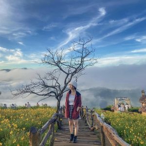 Tour Đà Lạt Lễ 2/9