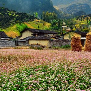 Tour Hà Giang 3 ngày 2 đêm giá rẻ
