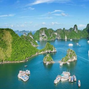 Tour Hạ Long 1 ngày