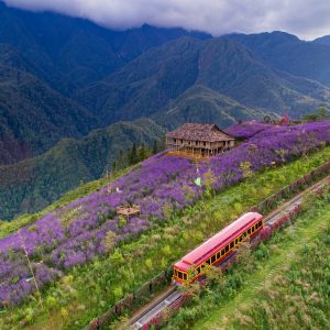 Tour Hà Nội Sapa từ Cần Thơ
