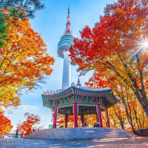 Tour Hàn Quốc từ Đà Lạt