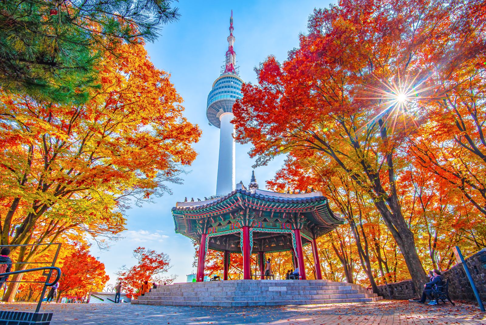 Tour Hàn Quốc từ Đà Lạt 1 Tour Hàn Quốc từ Đà Lạt