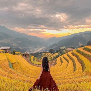 Tour Mù Cang Chải Sapa từ Cần Thơ
