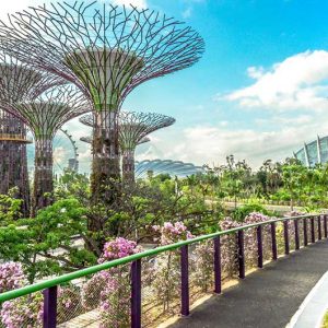 Tour Singapore từ Nha Trang