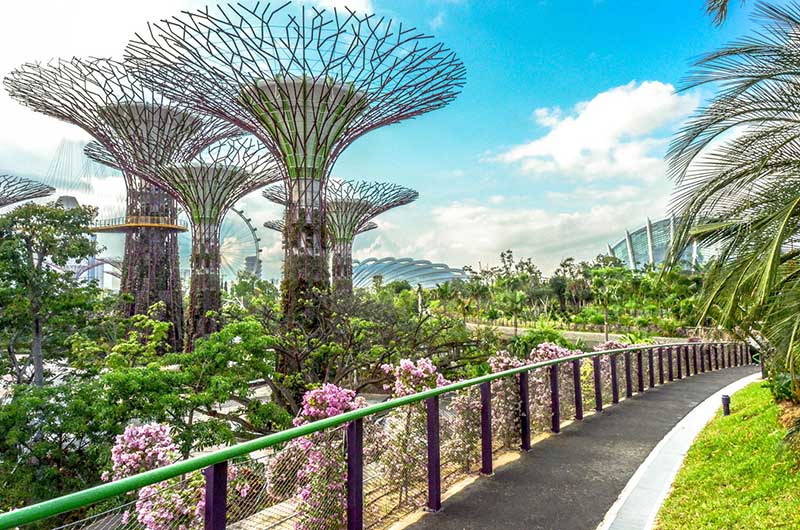 Tour Singapore từ Nha Trang 1 Tour Singapore từ Nha Trang