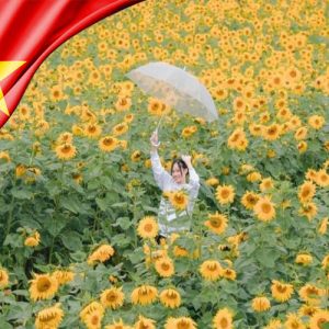 Tour Đà Lạt 3 ngày 2 đêm lễ 30/4/2027