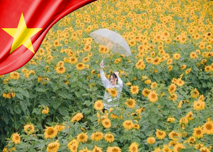 Tour Đà Lạt 3 ngày 2 đêm lễ 30/4/2027 1 Tour Đà Lạt 3 ngày 2 đêm lễ 30/4/2027