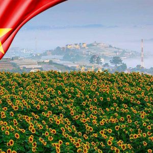 Tour Đà Lạt máy bay lễ 30/4/2027