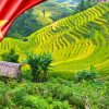 Tour Mai Châu Mộc Châu lễ 30/04/2027