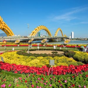 Tour tết Đà Nẵng Huế Phong Nha 5 ngày 4 đêm