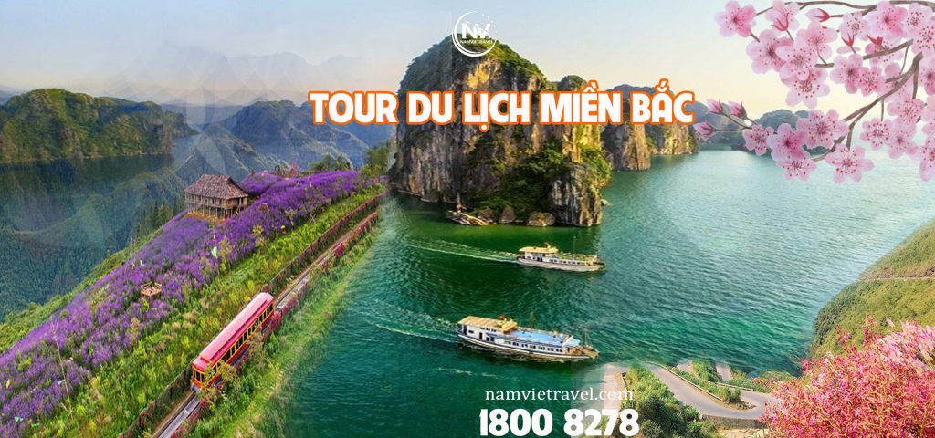 Kinh Nghiệm Mua Tour Du lịch Tết Nguyên Đán 2026 5 Tour du lich Tet 2