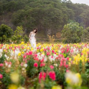 TOUR ĐÀ LẠT MÁY BAY 3 NGÀY 2 ĐÊM